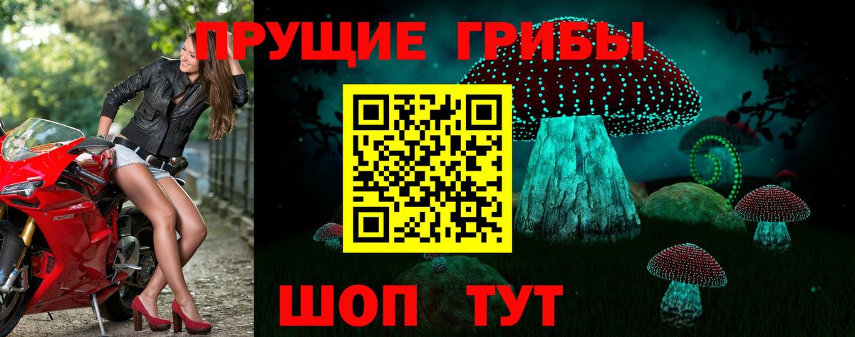 Обь  Псилоцибиновые грибы GOLDEN TEACHER  Псилоцибиновые грибы мицелий  как найти закладки  Вход с VPN 