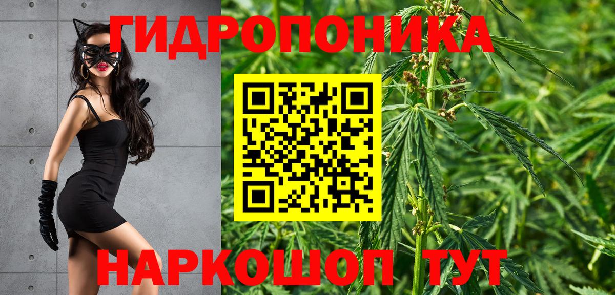 Канабис Amnesia  Бошки марихуана сатива  Обь  Вход с VPN  Каннабис конопля 